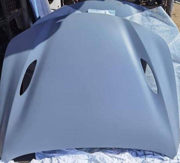 OEM Alfa Giulia Carbon hoods